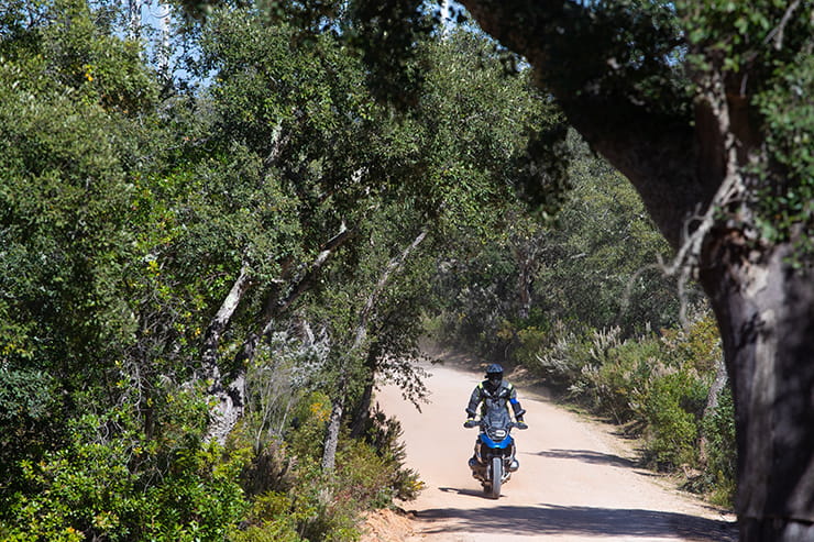 Michelin Anakee Adventure Tyre Review - BikeSocial