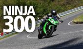 Taking over from the hugely popular Ninja 250, the Ninja 300 arrived in 2012 and brought with it a whole heap of added Ninja attitude and technology to Kawasaki’s surprise hit A2-legal mini-sportsbike.