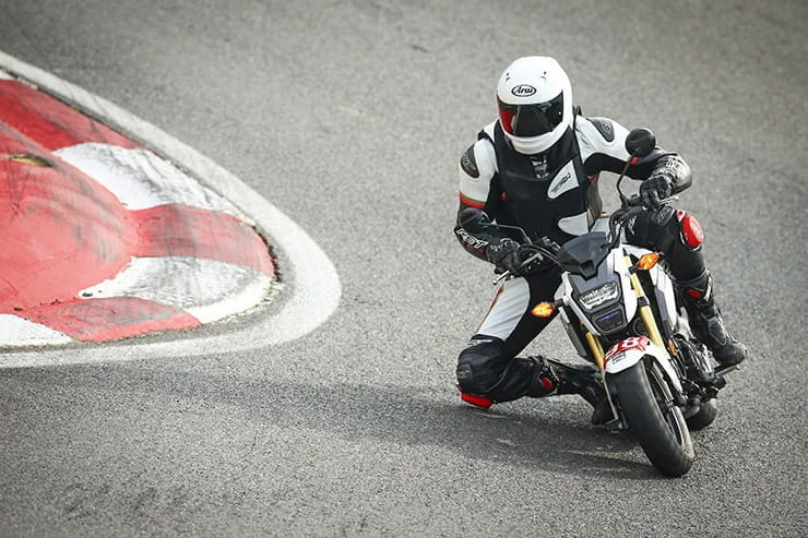 Track day requirements lever guard back protector_11