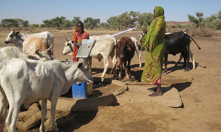 African women use a well with cows around them