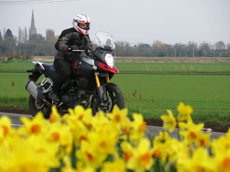 Suzuki's V-Strom 1000 on UK roads. It makes a lot of sense. Note: No daffodils were harmed in the making of this photo.