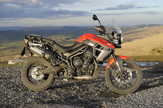 Triumph Tiger 800 XRt - one of 6 versions of the Tiger 800